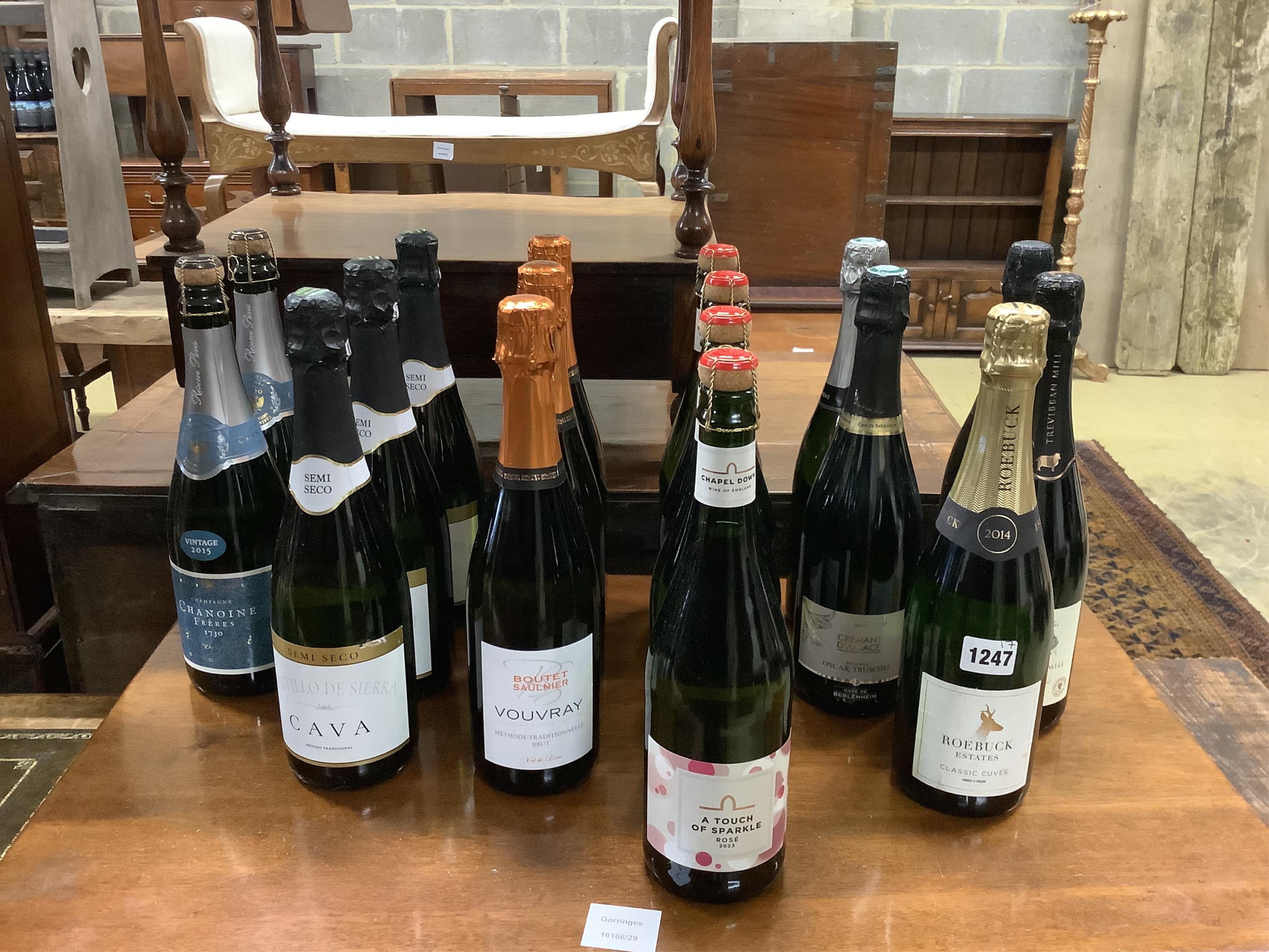 Sixteen bottles of assorted Champagne and sparkling wine to include Boutet Saulnier Vouvray, Chanoine Freres Vintage 2015 and Trevibban Mill 2014. (Surplus stock from a local wedding event company).